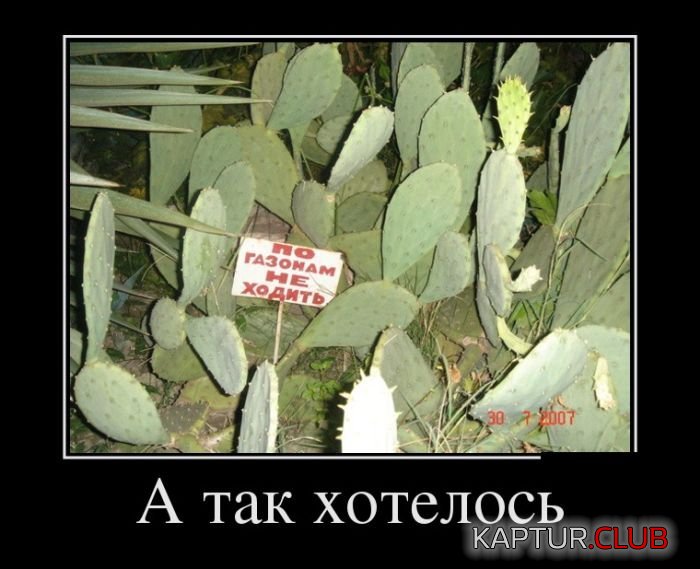 1473660663_demotivatory_23.jpg | Рено Каптур Клуб Россия | Форум KAPTUR.SU