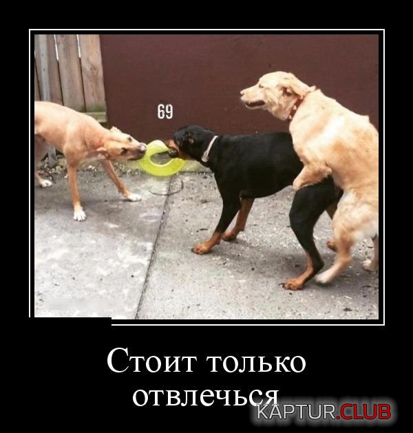 1473858831_demotivatory_02.jpg | Рено Каптур Клуб Россия | Форум KAPTUR.SU