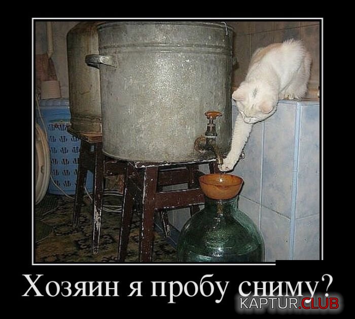 1473858836_demotivatory_30.jpg | Рено Каптур Клуб Россия | Форум KAPTUR.SU