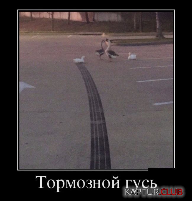 1474184668_demotivatory_20.jpg | Рено Каптур Клуб Россия | Форум KAPTUR.SU