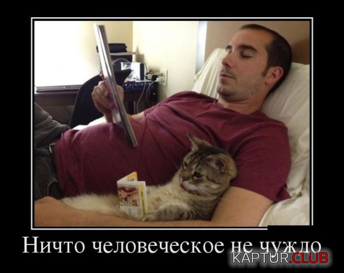 1474184720_demotivatory_10.jpg | Рено Каптур Клуб Россия | Форум KAPTUR.SU