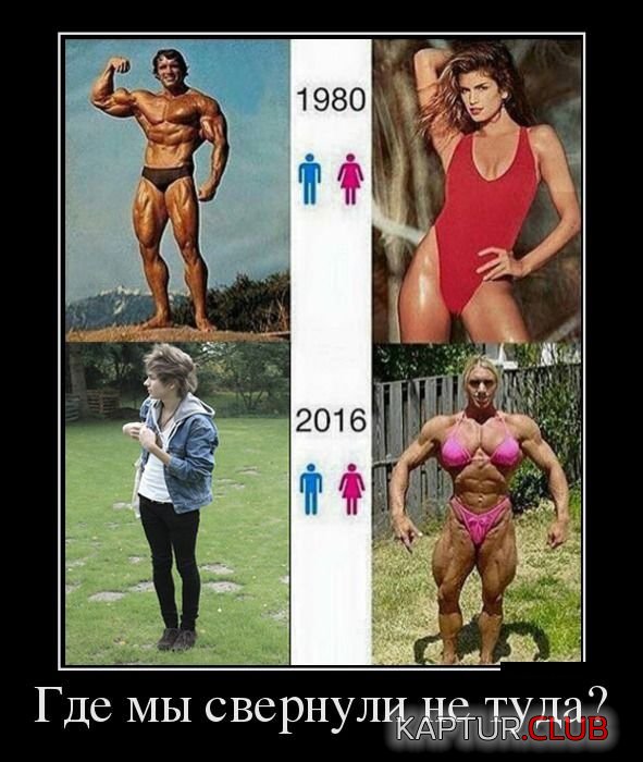 1474184727_demotivatory_28.jpg | Рено Каптур Клуб Россия | Форум KAPTUR.SU