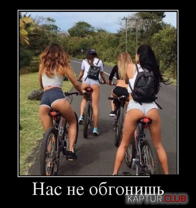 1474289816_demotivatory_17.jpg | Рено Каптур Клуб Россия | Форум KAPTUR.SU