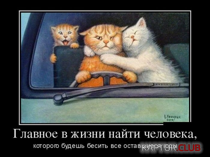 1475128989_demotivatory_01.jpg | Рено Каптур Клуб Россия | Форум KAPTUR.SU