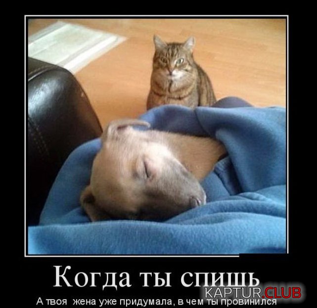 1475129022_demotivatory_12.jpg | Рено Каптур Клуб Россия | Форум KAPTUR.SU