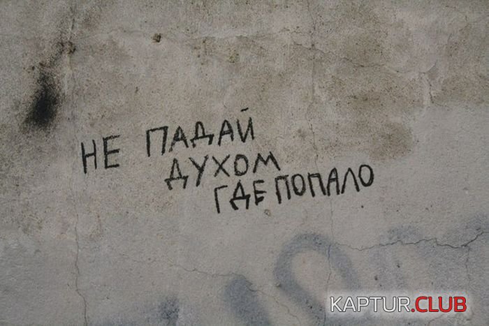 1476690492_podborka_dnevnya_46.jpg | Рено Каптур Клуб Россия | Форум KAPTUR.SU