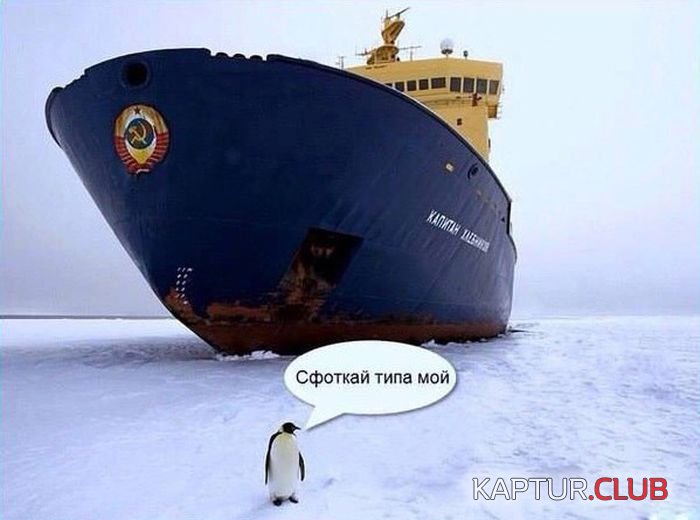 1476690543_podborka_dnevnya_01.jpg | Рено Каптур Клуб Россия | Форум KAPTUR.SU