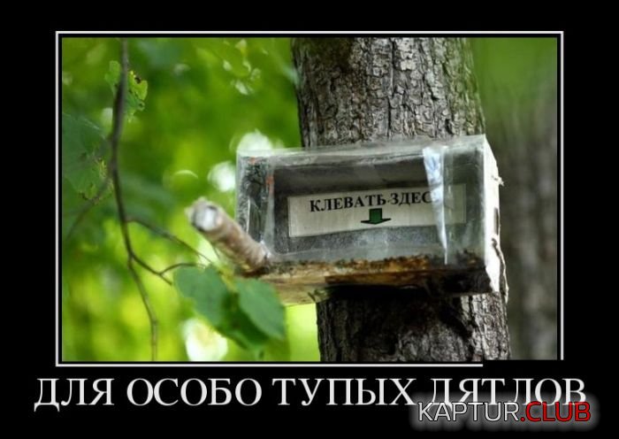 1477286496_demotivatory_25.jpg | Рено Каптур Клуб Россия | Форум KAPTUR.SU