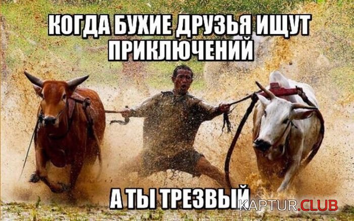 1477409349_podborka_dnevnaya_14.jpg | Рено Каптур Клуб Россия | Форум KAPTUR.SU