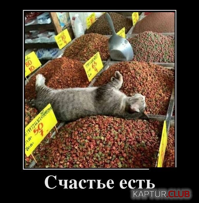 1477485034_demotivatory_05.jpg | Рено Каптур Клуб Россия | Форум KAPTUR.SU