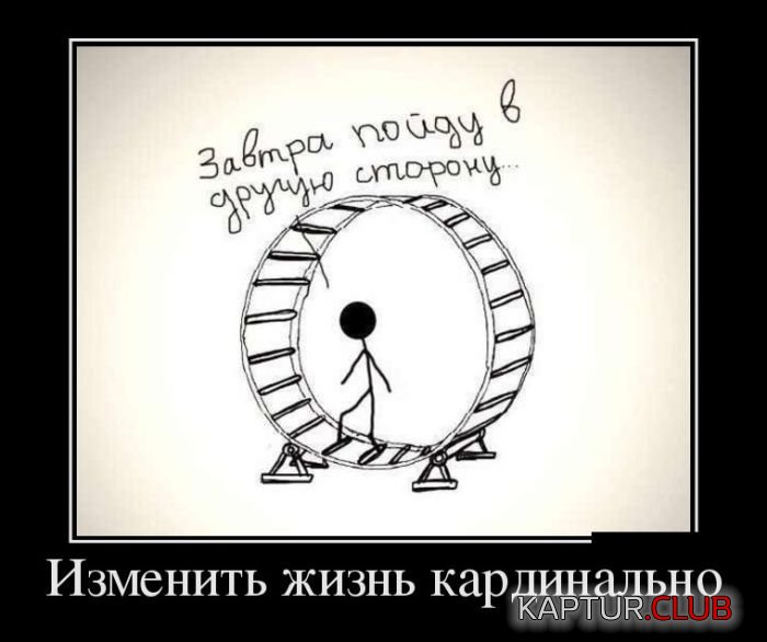 1477485039_demotivatory_21.jpg | Рено Каптур Клуб Россия | Форум KAPTUR.SU