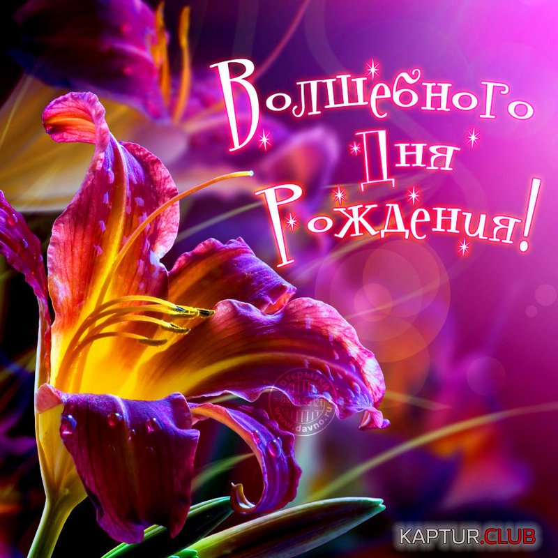 148077999202703125.jpg | Рено Каптур Клуб Россия | Форум KAPTUR.SU