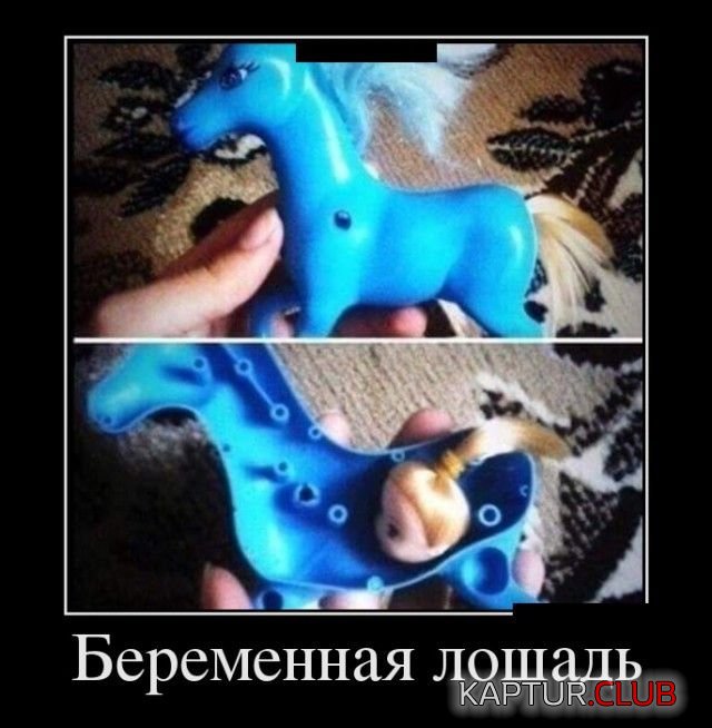 1480837455_demotivatory_19.jpg | Рено Каптур Клуб Россия | Форум KAPTUR.SU