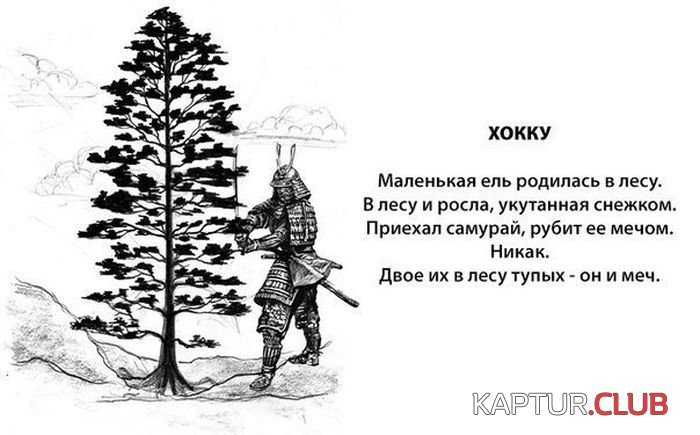1480837634_podborka_dnevnaya_31.jpg | Рено Каптур Клуб Россия | Форум KAPTUR.SU