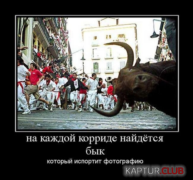 1482900794_demotivatory_06.jpg | Рено Каптур Клуб Россия | Форум KAPTUR.SU