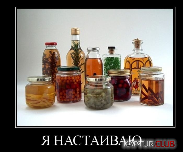 1482900798_demotivatory_15.jpg | Рено Каптур Клуб Россия | Форум KAPTUR.SU