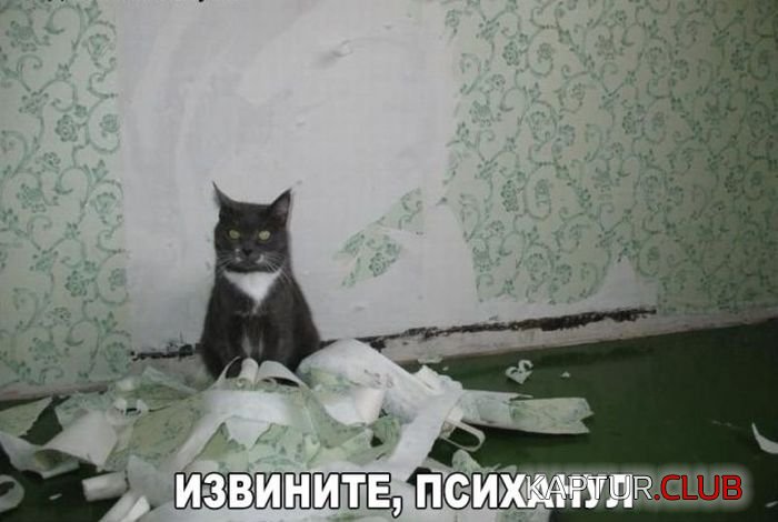 1482900961_podborka_vecher_15.jpg | Рено Каптур Клуб Россия | Форум KAPTUR.SU