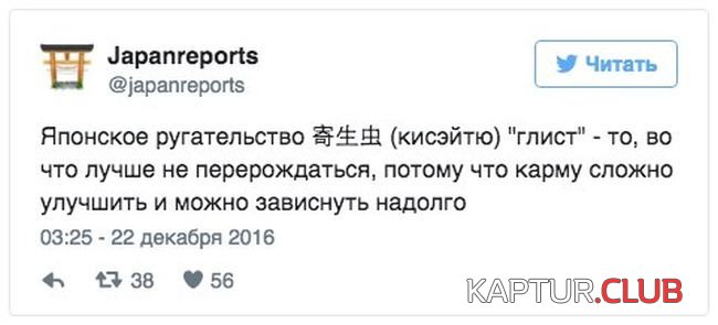 1483419593_podborka_dnevnaya_08.jpg | Рено Каптур Клуб Россия | Форум KAPTUR.SU