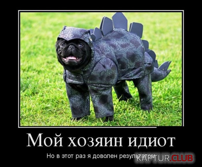 1484900325_demotivatory_07.jpg | Рено Каптур Клуб Россия | Форум KAPTUR.SU
