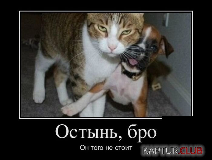 1485180585_demotivatory_27.jpg | Рено Каптур Клуб Россия | Форум KAPTUR.SU