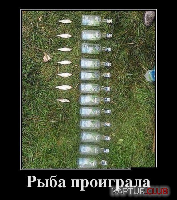 1485266101_demotivatory_23.jpg | Рено Каптур Клуб Россия | Форум KAPTUR.SU