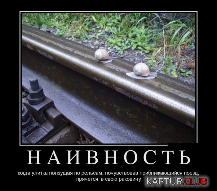 1485595471_demotivatory_16.jpg | Рено Каптур Клуб Россия | Форум KAPTUR.SU