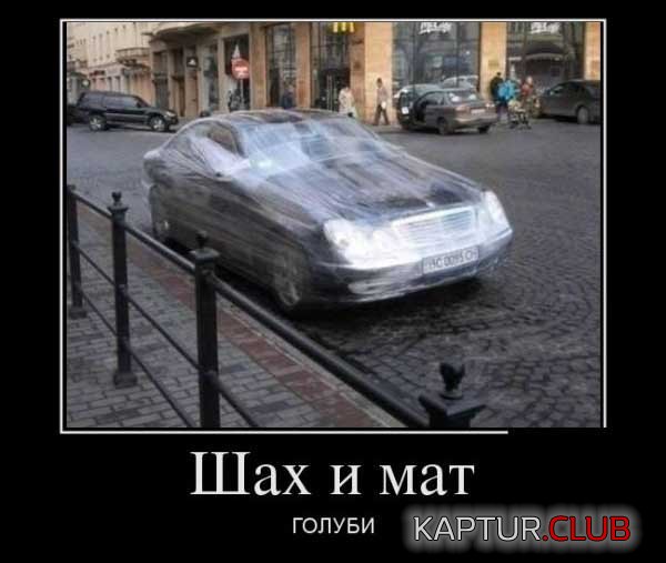 1485595476_demotivatory_15.jpg | Рено Каптур Клуб Россия | Форум KAPTUR.SU
