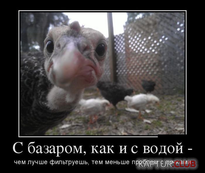 1485793077_demotivatory_23.jpg | Рено Каптур Клуб Россия | Форум KAPTUR.SU