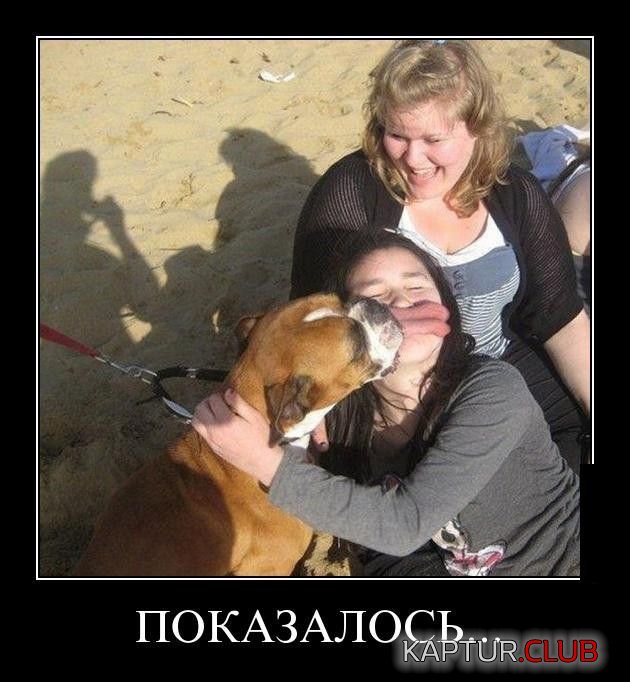 1486615469_demotivatory_06.jpg | Рено Каптур Клуб Россия | Форум KAPTUR.SU