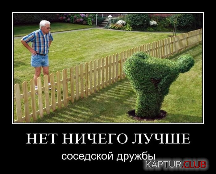 1486615513_demotivatory_29.jpg | Рено Каптур Клуб Россия | Форум KAPTUR.SU