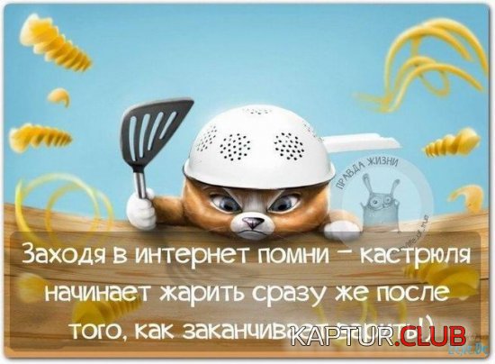 1486817973_prikolnie_kartinki_zexe_de_083.jpg | Рено Каптур Клуб Россия | Форум KAPTUR.SU