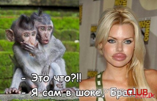 1486817976_prikolnie_kartinki_zexe_de_002.jpg | Рено Каптур Клуб Россия | Форум KAPTUR.SU