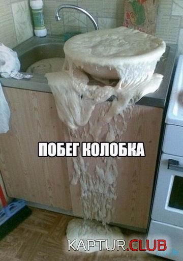 1486817977_prikolnie_kartinki_zexe_de_008.jpg | Рено Каптур Клуб Россия | Форум KAPTUR.SU
