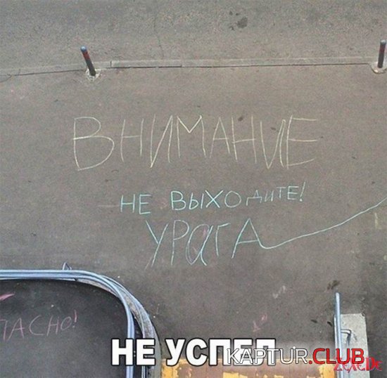 1486817989_prikolnie_kartinki_zexe_de_050.jpg | Рено Каптур Клуб Россия | Форум KAPTUR.SU