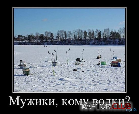 1486817990_prikolnie_kartinki_zexe_de_005.jpg | Рено Каптур Клуб Россия | Форум KAPTUR.SU