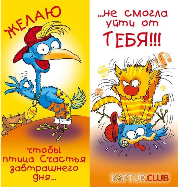 1487294456_dr008.jpg | Рено Каптур Клуб Россия | Форум KAPTUR.SU