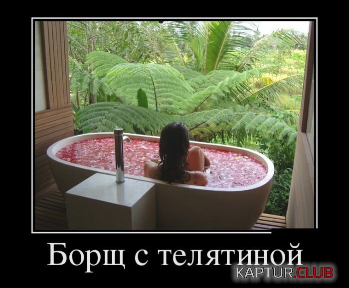 1487653054_demotivatory_06.jpg | Рено Каптур Клуб Россия | Форум KAPTUR.SU