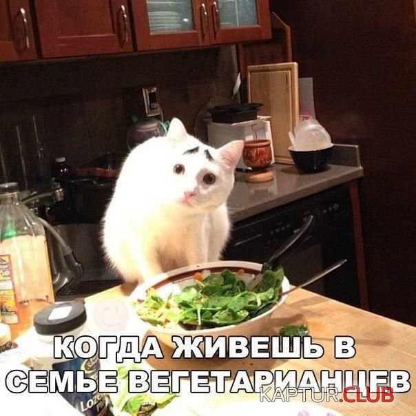 1489121987_podborka_vecher_42.jpg | Рено Каптур Клуб Россия | Форум KAPTUR.SU