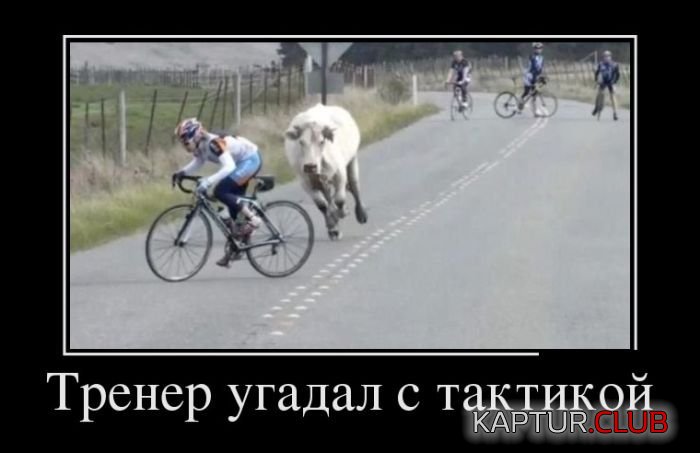 1489725281_demotivatory_01.jpg | Рено Каптур Клуб Россия | Форум KAPTUR.SU