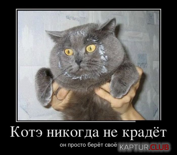1489725281_demotivatory_14.jpg | Рено Каптур Клуб Россия | Форум KAPTUR.SU