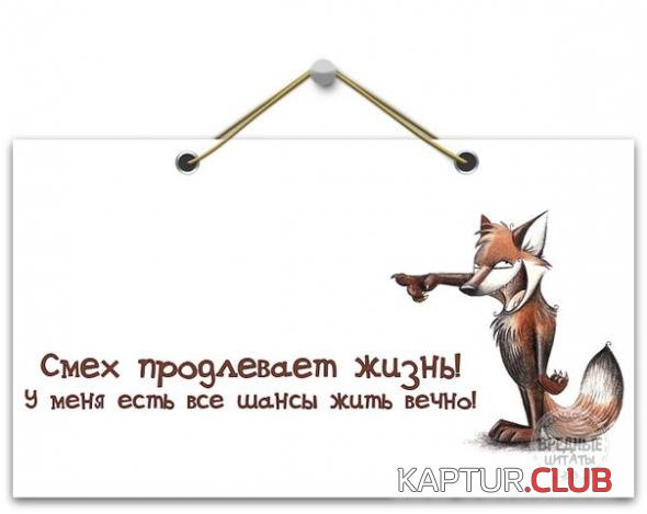 148e2d612592d8cd9c09db62b5a_prev.jpg | Рено Каптур Клуб Россия | Форум KAPTUR.SU
