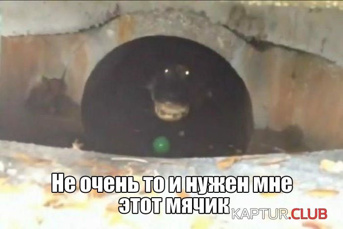 1490156079_podborka_dnevnaya_01.jpg | Рено Каптур Клуб Россия | Форум KAPTUR.SU