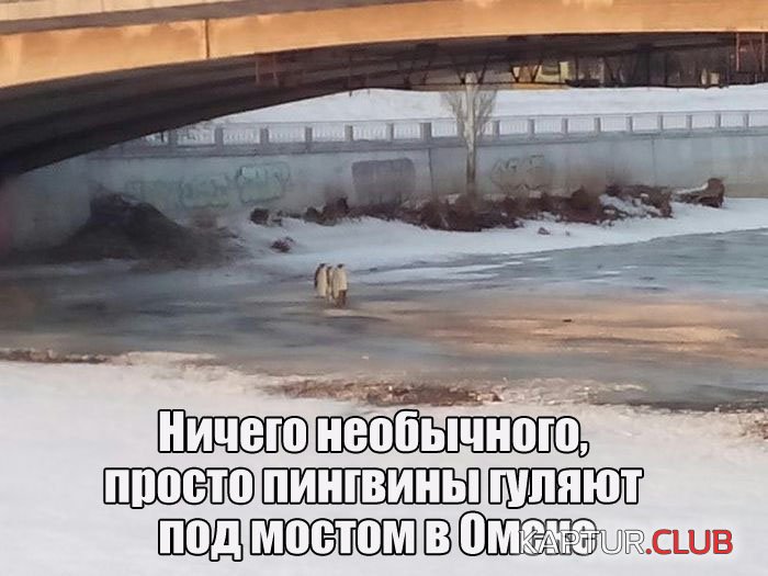 1490676503_podborka_dnevnaya_01.jpg | Рено Каптур Клуб Россия | Форум KAPTUR.SU