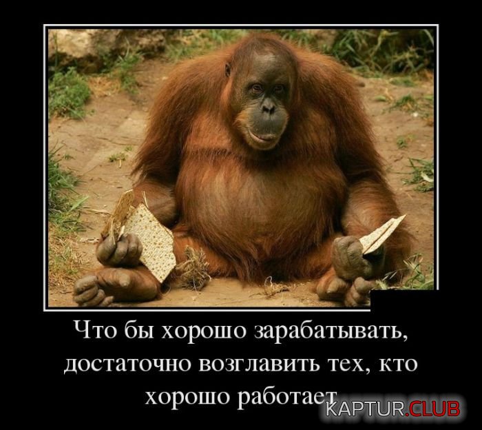 1491279818_demotivatory_16.jpg | Рено Каптур Клуб Россия | Форум KAPTUR.SU