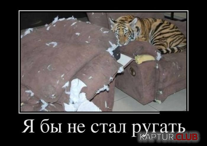 1491917380_demotivatory_08.jpg | Рено Каптур Клуб Россия | Форум KAPTUR.SU