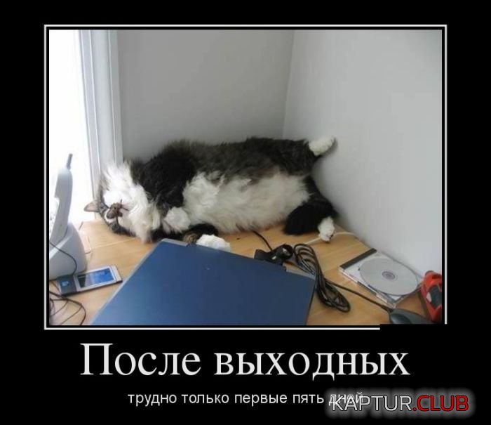 1492241954_demotivatory_28.jpg | Рено Каптур Клуб Россия | Форум KAPTUR.SU