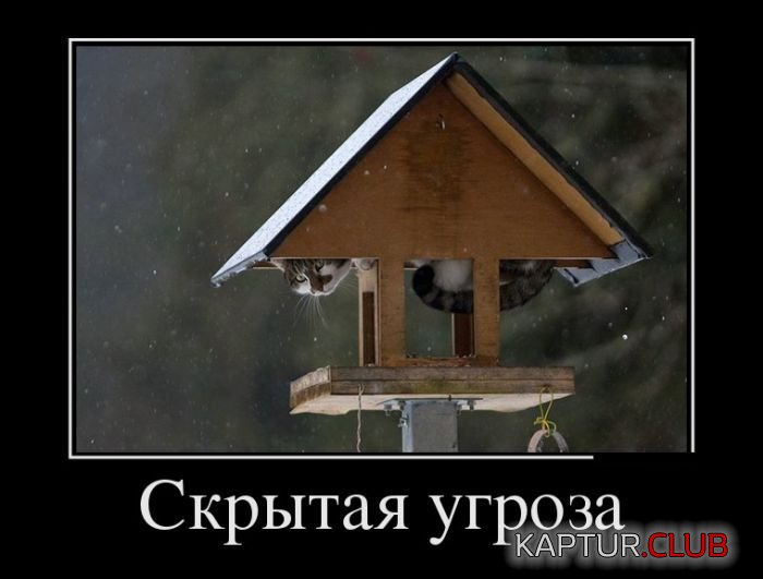 1492749740_demotivatory_08.jpg | Рено Каптур Клуб Россия | Форум KAPTUR.SU