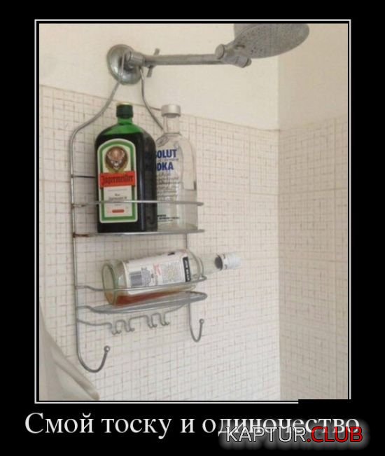 1493353325_demotivatory_10.jpg | Рено Каптур Клуб Россия | Форум KAPTUR.SU