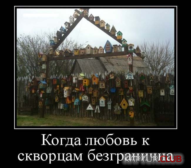 1493353332_demotivatory_01.jpg | Рено Каптур Клуб Россия | Форум KAPTUR.SU