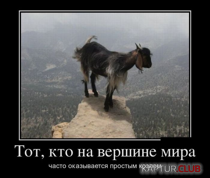 1493353358_demotivatory_04.jpg | Рено Каптур Клуб Россия | Форум KAPTUR.SU